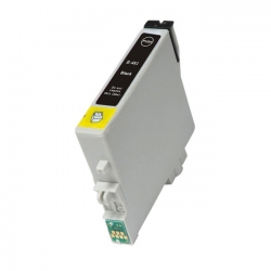Ink cartridge Epson T0481...