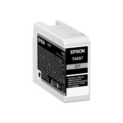 Cartucho de tinta Epson T46S7 gris Original - C13T46S700